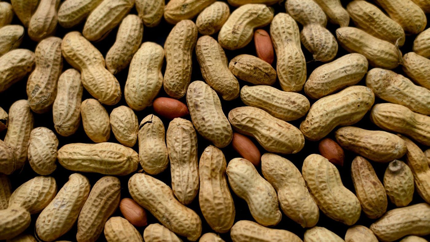 Treatment for Peanut Allergies succeeds in study