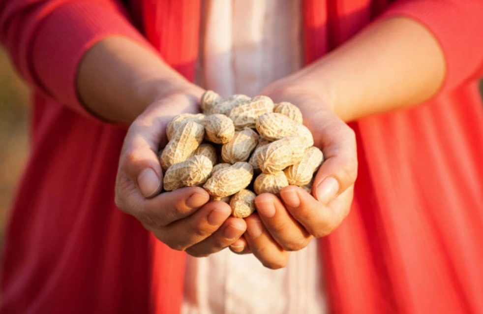 Peanut Allergy Cures